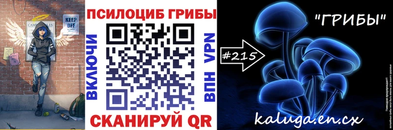 Псилоцибиновые грибы Psilocybe  Стерлитамак 